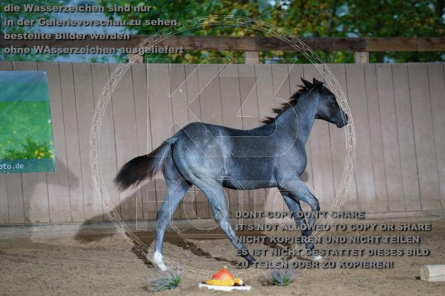 s_K3F04731.JPG